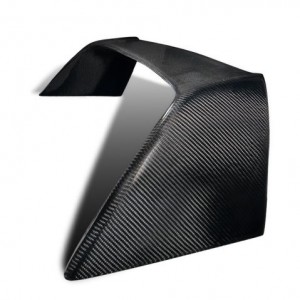 02-06 RSX Carbon Fiber Wing