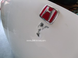 JDM Integra Dc2 Type R Hood OEM